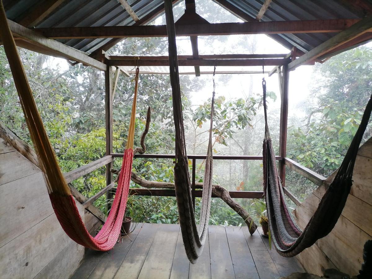 Paraiso Verde Chijou المظهر الخارجي الصورة