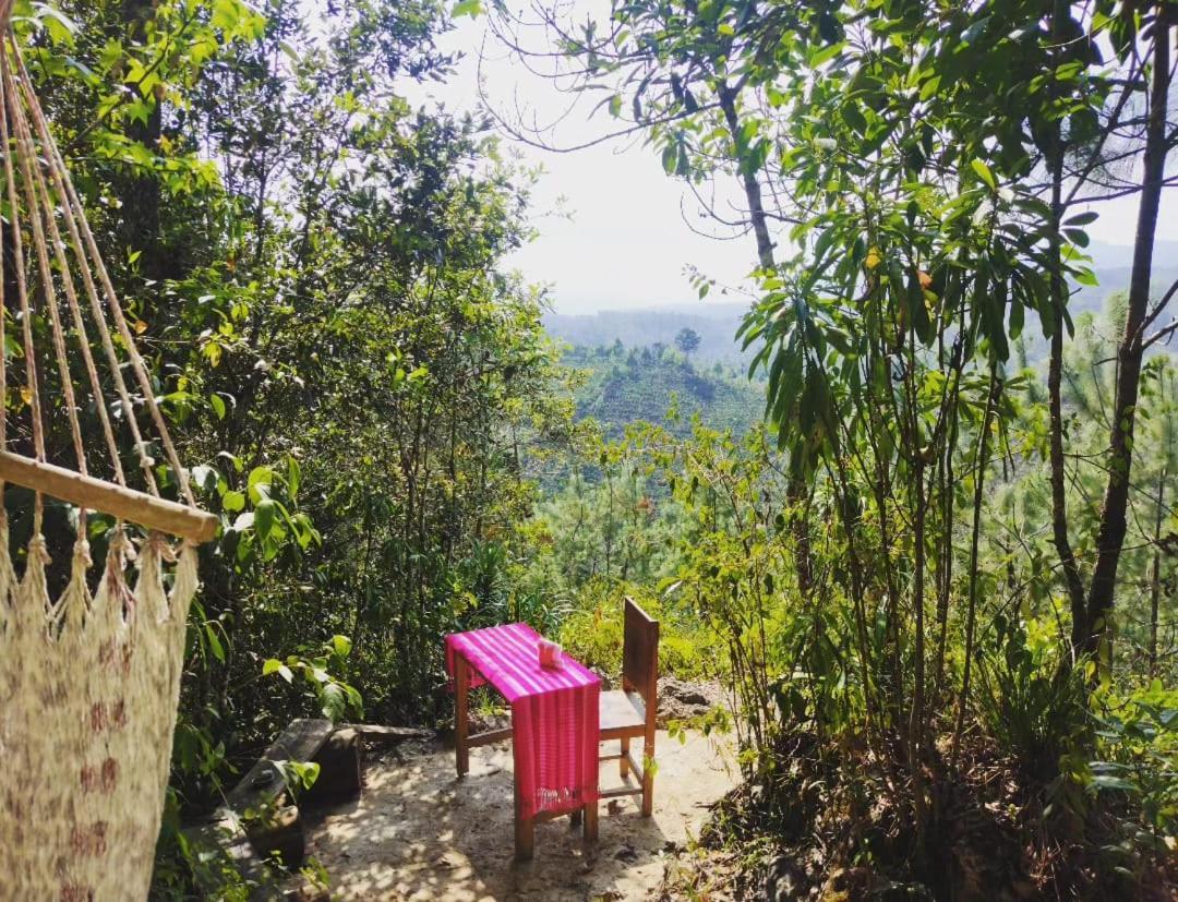 Paraiso Verde Chijou المظهر الخارجي الصورة