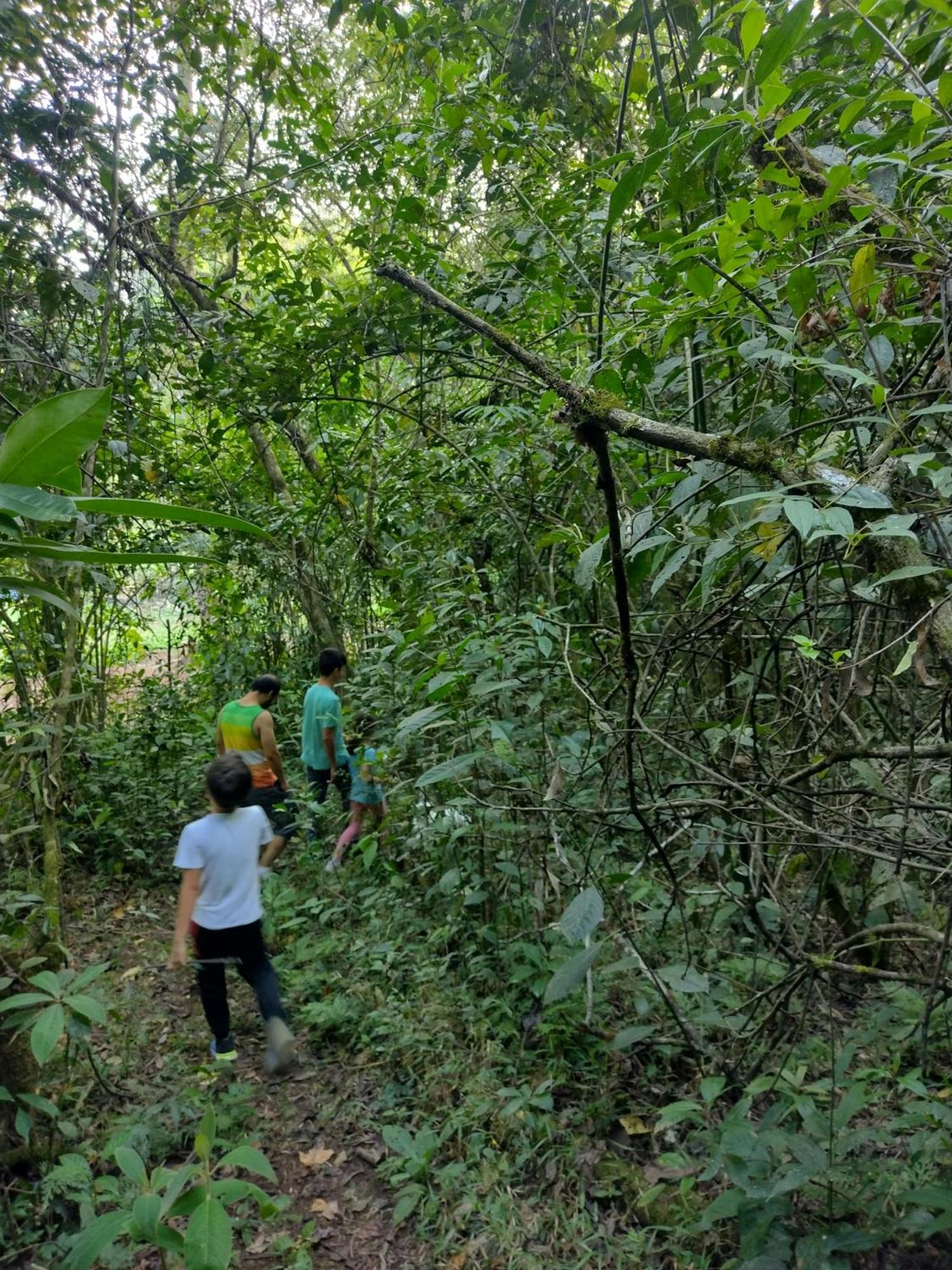 Paraiso Verde Chijou المظهر الخارجي الصورة