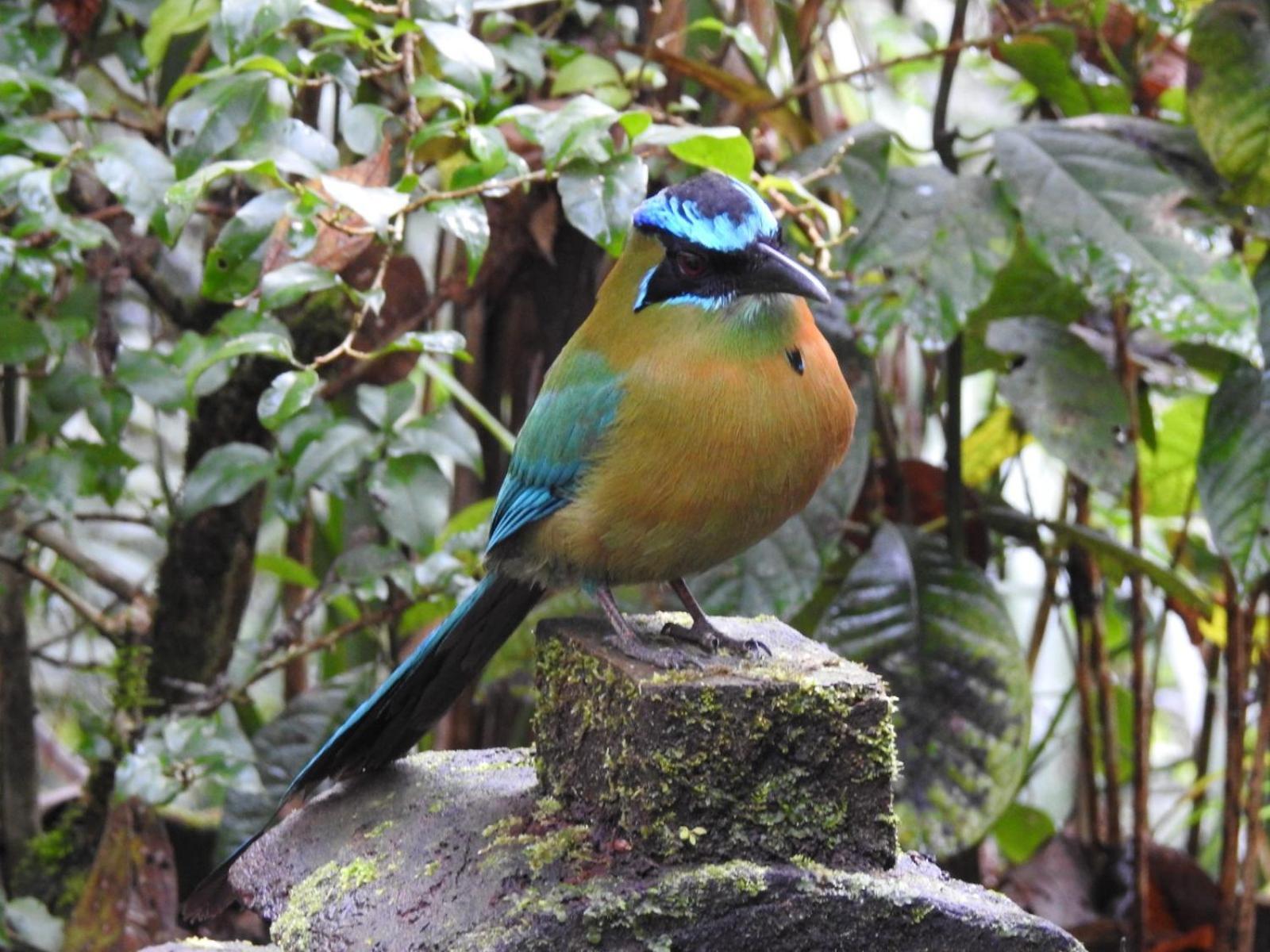 Paraiso Verde Chijou المظهر الخارجي الصورة