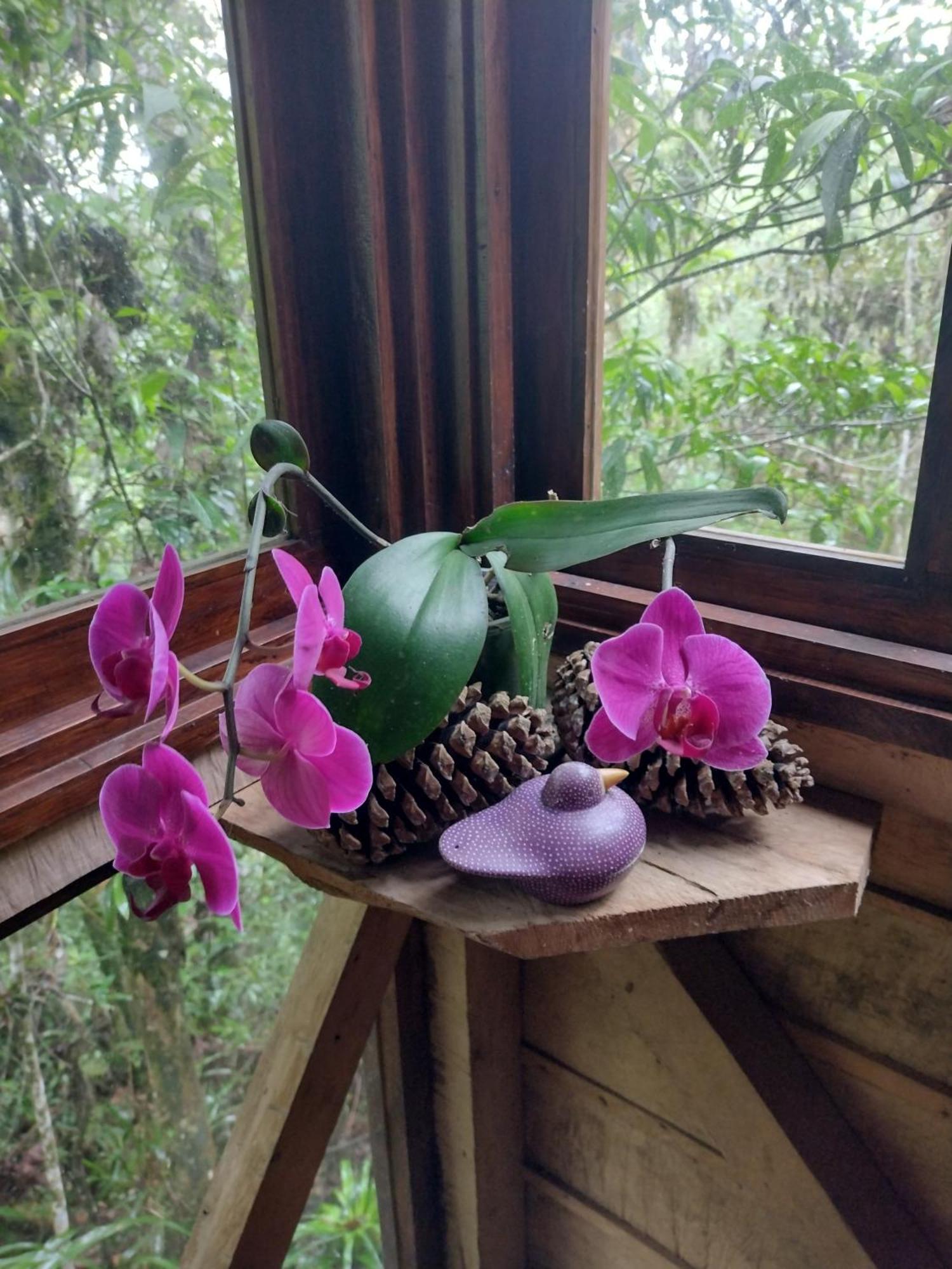 Paraiso Verde Chijou المظهر الخارجي الصورة