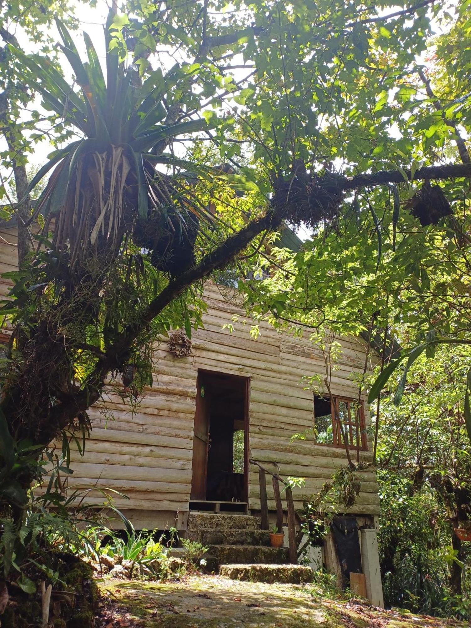 Paraiso Verde Chijou المظهر الخارجي الصورة