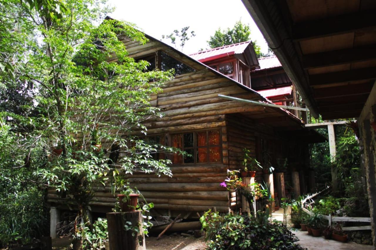 Paraiso Verde Chijou المظهر الخارجي الصورة