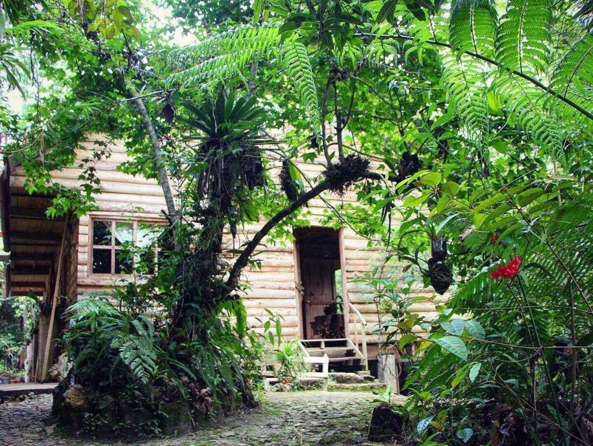 Paraiso Verde Chijou المظهر الخارجي الصورة