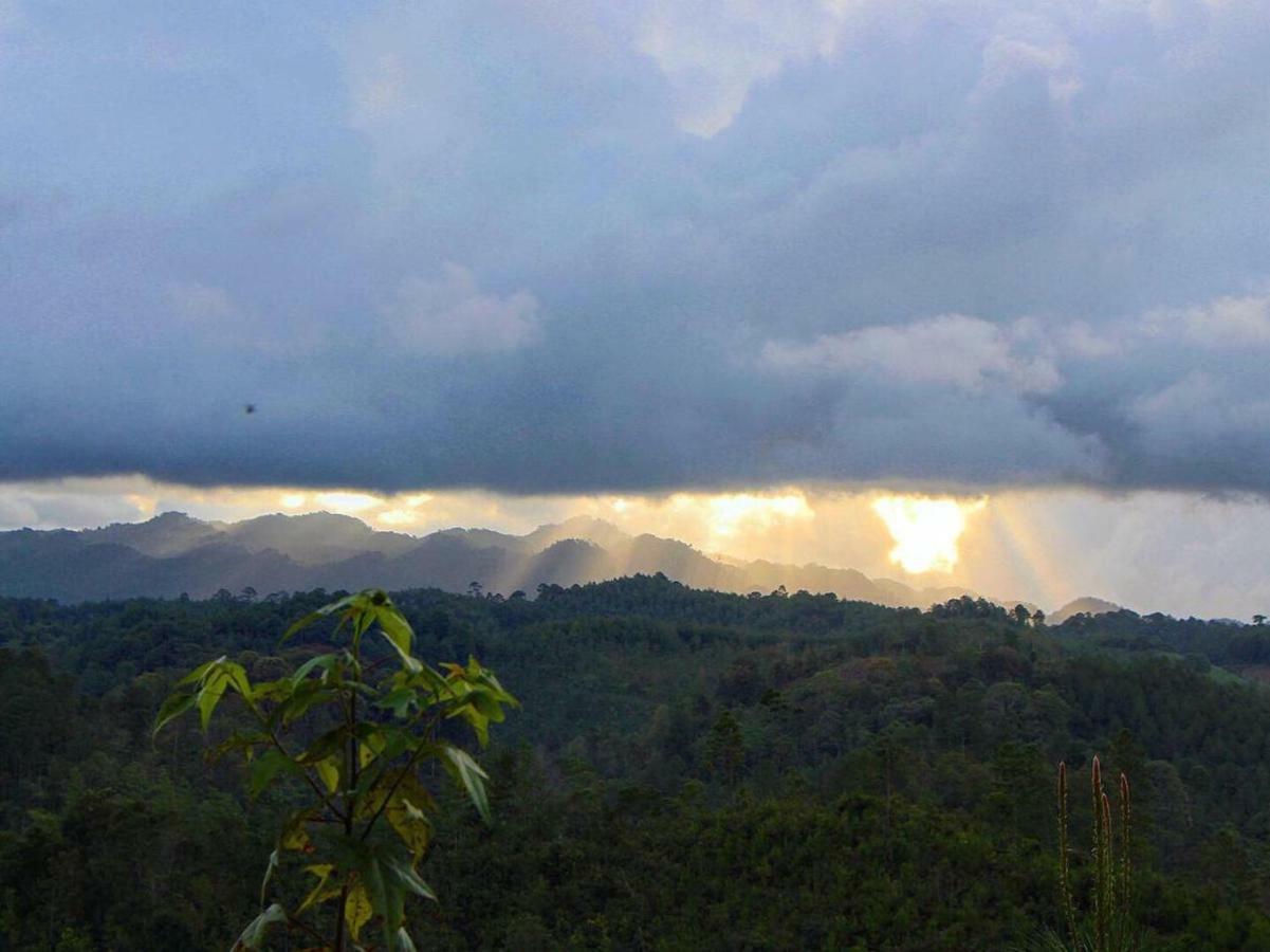 Paraiso Verde Chijou المظهر الخارجي الصورة