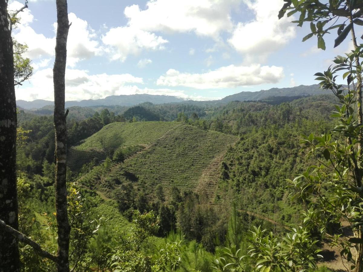 Paraiso Verde Chijou المظهر الخارجي الصورة